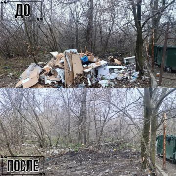 Иван Адамец: Совместными усилиями специалистов предприятия «Донснабкомплект» и Управы Куйбышевского внутригородского района реализуется плановая работа по наведению санитарного порядка на территории района