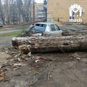 Упавшее дерево повредило газовую трубу и припаркованную машину на Бирюзова в Донецке