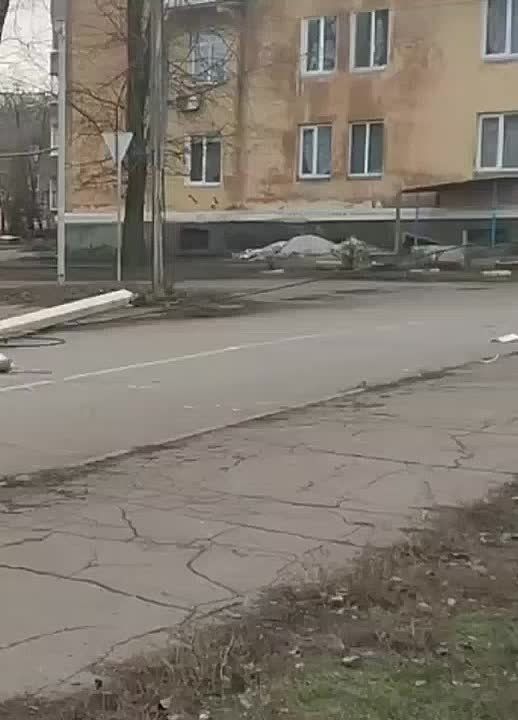 Дерево рухнуло на провода в Пролетарском районе Донецка