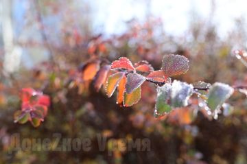 Похолодает, возможен дождь: к концу недели в Донецк придет зимняя погода, но пока без снега