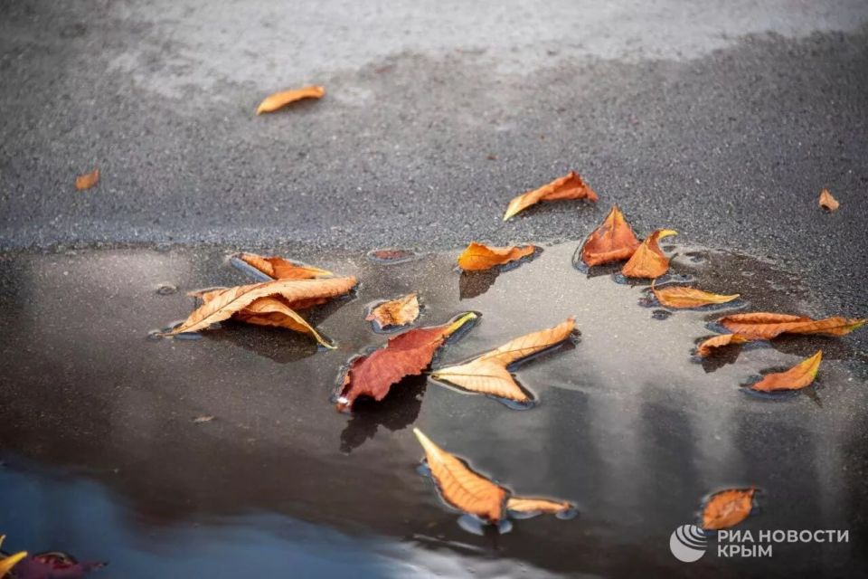 Погода на новых территориях России