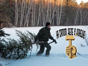 Предновогоднее напоминание Минприроды ДНР