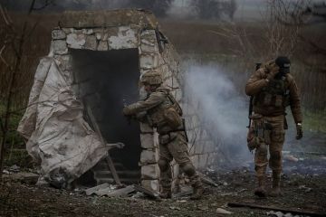 Оборона ВСУ в Северске рухнула, армия России водрузила флаг в центре города