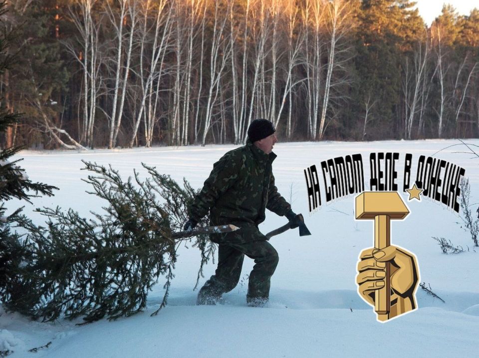 Предновогоднее напоминание Минприроды ДНР