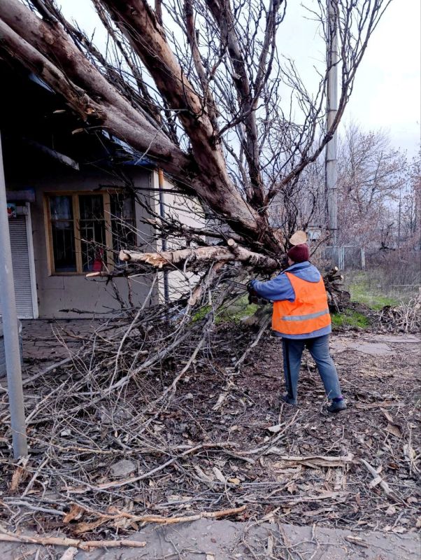 Иван Адамец: В Куйбышевском районе продолжаются работы по спилу аварийных деревьев — сухостоя и старых тополей