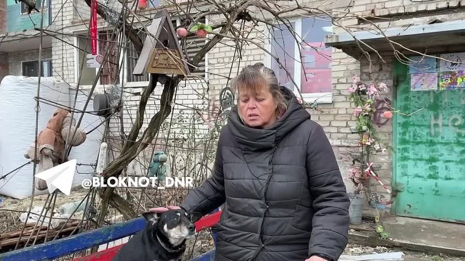 �������� ���: ������ ���� �� �������� ������� ����� ����� ���������� ����������