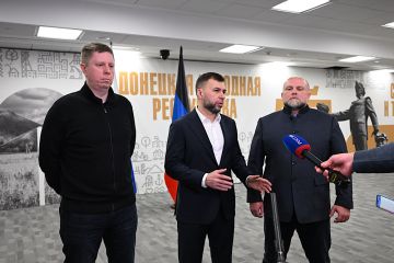 Денис Пушилин и Андрей Плутницкий обсудили вопросы развития здравоохранения в ДНР