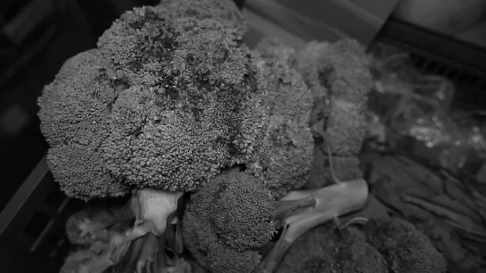 ���� �������� ����� 20 ���� �����: ��������� ��������� �������� ������� ���� �� ������ ���������� ��������