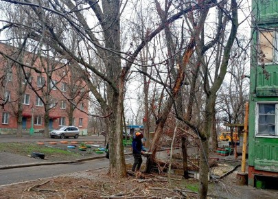 Иван Адамец: Специалисты коммунальных служб Куйбышевского района в плановом порядке удаляют аварийные деревья и проводят санитарную обрезку крон здоровых деревьев
