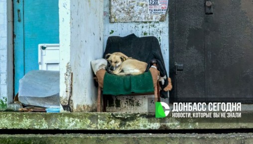 ������� ������ � ������� �� �������, 12 ������� 2025 ����