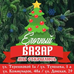 Друзья, праздничное настроение уже витает в воздухе, а значит — время выбирать новогоднюю ёлку! В Донецке открылись ёлочные базары, где каждый найдёт свою идеальную зелёную красавицу!