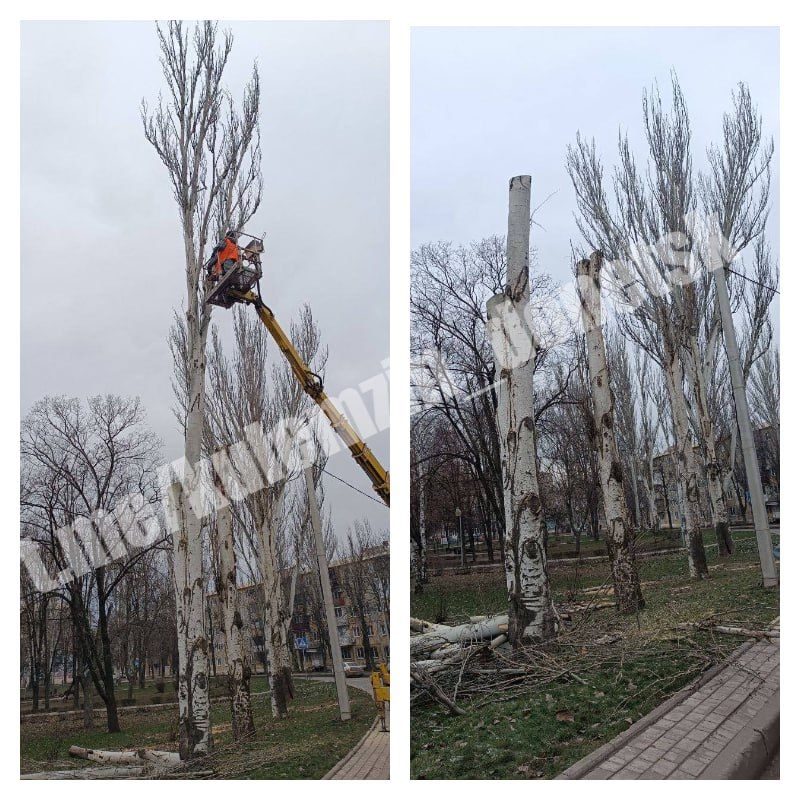 ������� ���������� ������������� ����������� ������� ������������� ������ � ������� ������� ������, �����, ����� ��������� ����������� ��������, �������� ������ ��������