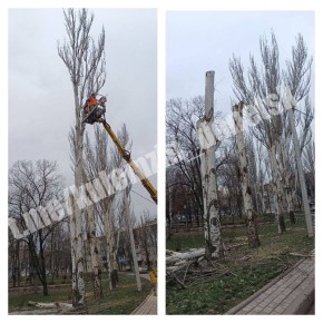 ������� ���������� ������������� ����������� ������� ������������� ������ � ������� ������� ������, �����, ����� ��������� ����������� ��������, �������� ������ ��������