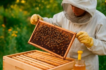 Донецкий эксперт рассказал, от чего в основном зависит стоимость меда