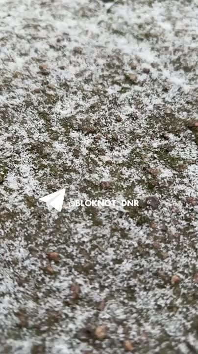 ���� � ���������: � ������ ������ ��������� ����