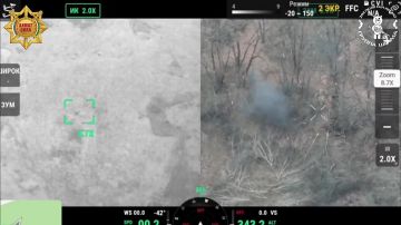 На территории Донецкой Народной Республики продолжаются интенсивные боевые действия