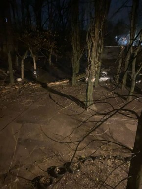 Дерево раздавило машину на Мирном в Донецке