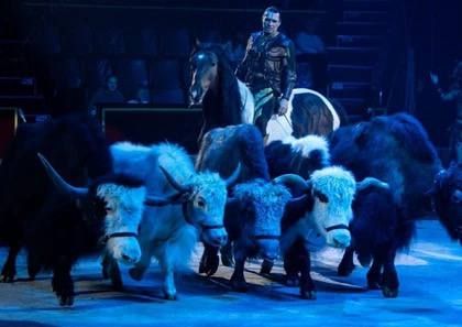 ���������� ���� � �����: � ������� ������� ��� ������ �������