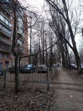 От жителей: Прошу обратить внимание на аварийное дерево, которое в любой момент может упасть и травмировать людей