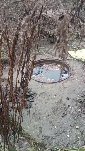 � �������� �� ���� ��� ����� ������ ���������� ����, ��������� �� ���������