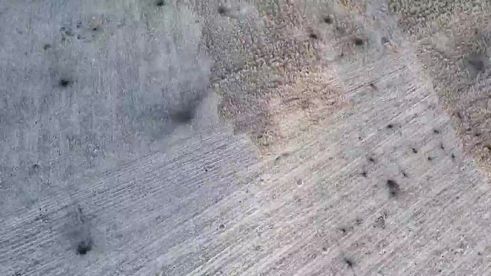 ��, ��� ���� �������� � ���, � ����� � ������� ��������� ������� � �������