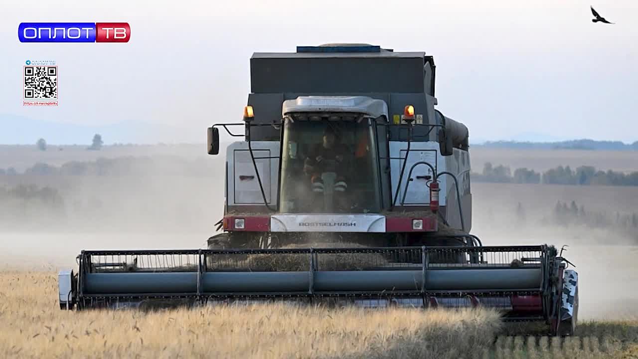 Правительство России продлило льготный лизинг для малого и среднего бизнеса в Донецкой и Луганской народных республиках, Запорожской и Херсонской областях