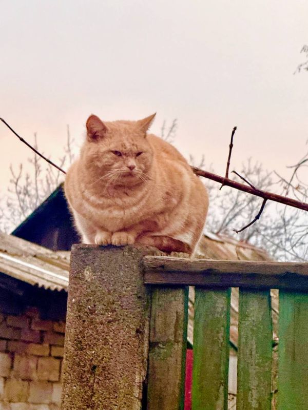 �������� ����������: ���� ������������� ������� ��� �� �������� ��������� ����