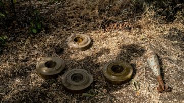 �����������: ��� ���������� ���� �� ���� ��������� ������ ������� �� ���������