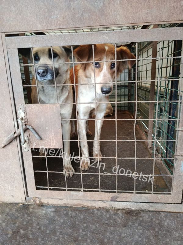 ����������� ����������� ��������� � ������ ���������� �������� ������ �� �������� ��������� ��������