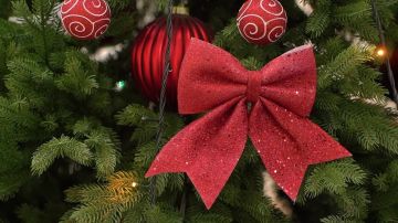 Новогоднее чудо для Ульяны из Донецка