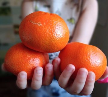 �� ������ ������� ����: � ��������� ��� ����������, ������� ���������� ����� ������ �� ���