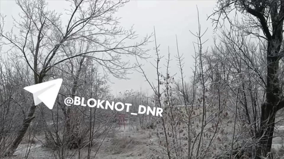 ������� ������������ ������� � ���� ������� � ��������