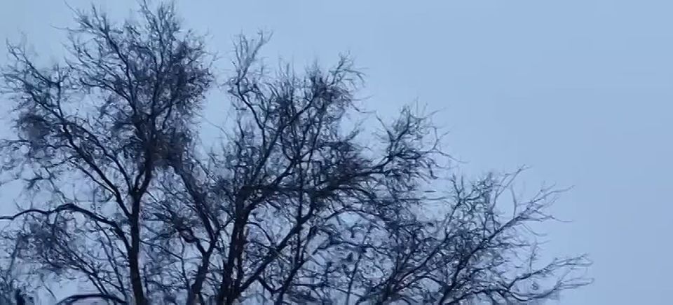 Стало доброй традицией: волонтеры поздравили юных пациентов ИНВХ им. Гусака с наступающими праздниками