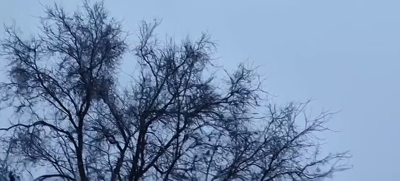 Стало доброй традицией: волонтеры поздравили юных пациентов ИНВХ им. Гусака с наступающими праздниками