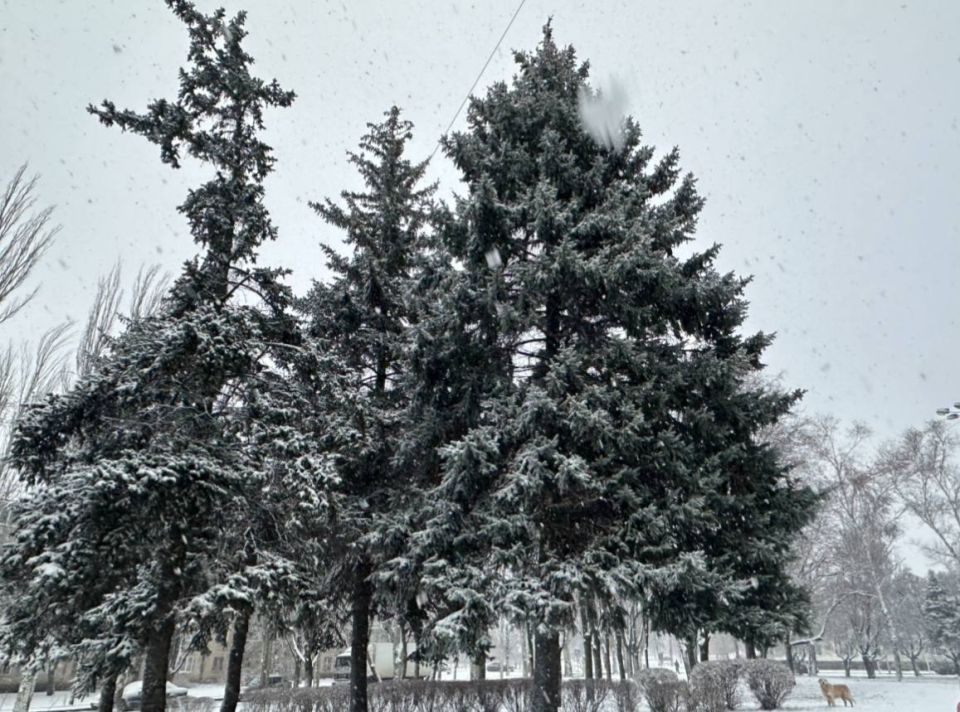 � ��� ����� 25 ������� ���������� �� -15 ��������