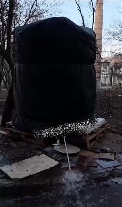 ����� ����� �������� �� ������������ � �������