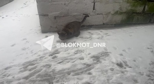 ���� ������� �������� ����� � �������