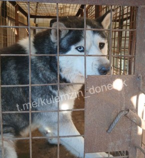 ������ ���� ��������� ����������� ��������� � ������ ������� �� �����, ����� ������� � ���������� � ��������� ��������