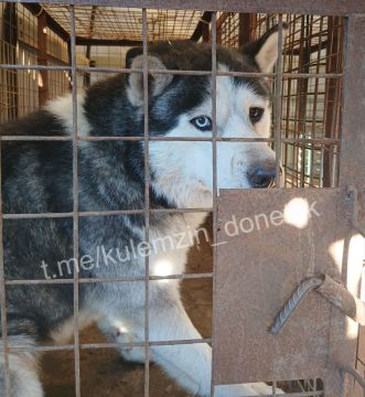 ������ ���� ��������� ����������� ��������� � ������ ������� �� �����, ����� ������� � ���������� � ��������� ��������