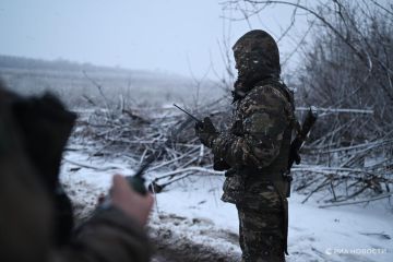 ���������� ������ ������� ���� ������������ � ���������������� �������