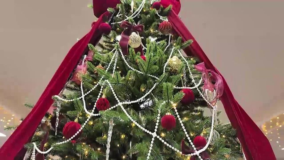 � ���������� �������� � 122 ������������� ������ ������� ������� ���������� ������� ����� ���������� ��� � ������� �� ����������� �����