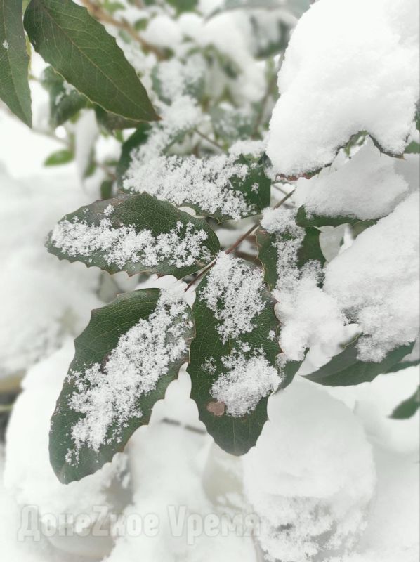 Первый раз за последние годы: новогодняя ночь встретит жителей ДНР снегом и морозами