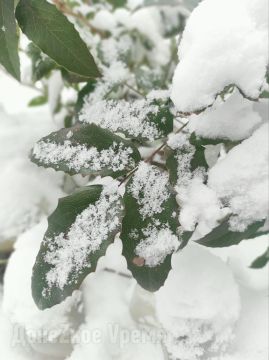 ������ ��� �� ��������� ����: ���������� ���� �������� ������� ��� ������ � ��������