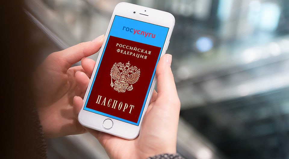Цифровой паспорт на Госуслугах: новые возможности с 29 декабря