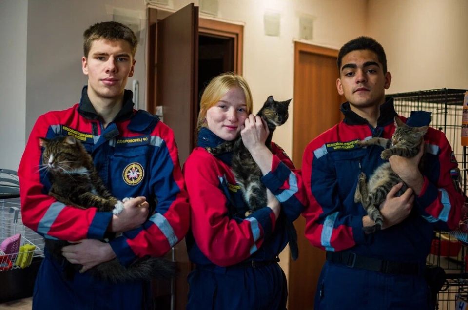 �������� ��������� ���� ���������� 900 ���� ����������