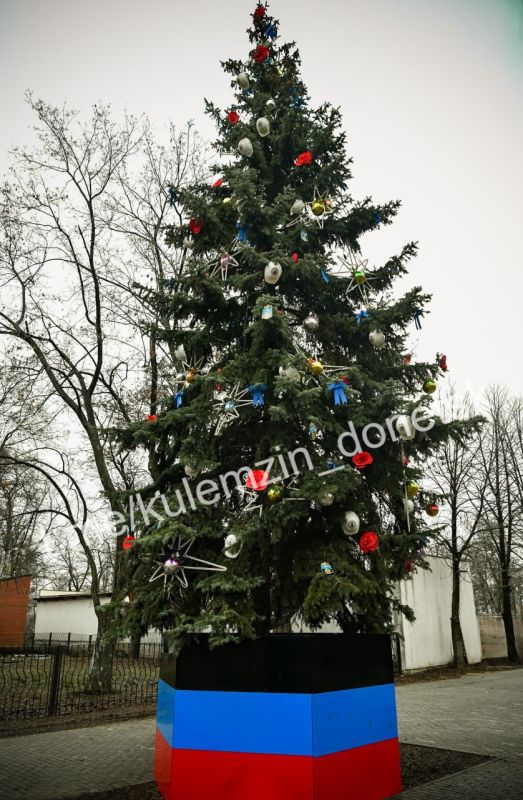 Алексей Кулемзин: Новогодняя елка Донецка представлена на Всероссийском конкурсе «Елки России» в номинации «Елка России в крупном городе»!