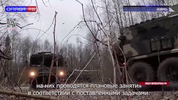 К выполнению задач приступил!