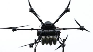 ������� �����: ��� ��������� ����� ����� �� ������ ����������� ��������������