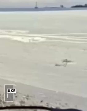 ������ ������������� ������� � ������ �����-�������