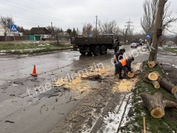 ������� ���������: ������� ���������� ������������� ����������� ������� ������������� ���������� ���������� ��������� �� ����� � ������, � ����� ��������� ����������� ��������, ���������� � ������ ������� �������